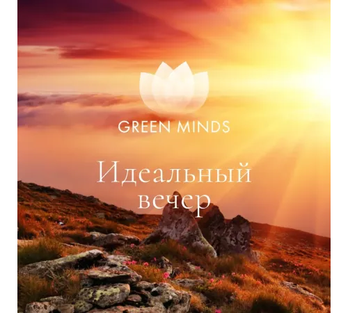 Нейромедитация GREEN MINDS «Идеальный вечер» — аудиозапись MP3, 11:01 мин, артикул 04002