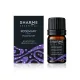 Эфирное масло «Розмарин» Sharme Essential, 5 мл — артикул 02997
