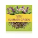 Чайный напиток TeaVitall Anyday «Summer Green» — зелёный чай с базиликом, мятой, шалфеем и майораном, 38 фильтр-пакетов — артикул 01620