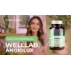 Welllab ANGIOLUX FORTE, 60 капсул — диосмин, гесперидин, готу кола и гинкго для вен, артикул 070708
