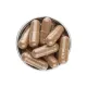 Welllab HOLAN PHYTO ACTIVE, 60 капсул — одуванчик, бессмертник, артишок, расторопша для желчевыведения, артикул 070715