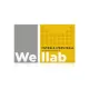Welllab МУМИЁ & СПИРУЛИНА, 30 таблеток — мумиё, спирулина, хлорелла, чага, бета-каротин, артикул 070746