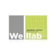 Welllab ЖЕЛЕЗА ХЕЛАТ, 30 таблеток — бисглицинат железа с витамином C, B12, фолиевой кислотой, медью и марганцем, артикул 070747