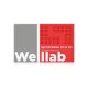 Welllab VITAMINS D3 & K2, 30 таблеток — холекальциферол с менахиноном, артикул 070753